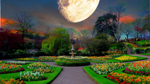 Flower Moon | Astrology News May 2024