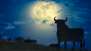 Full Moon 15 November 2024