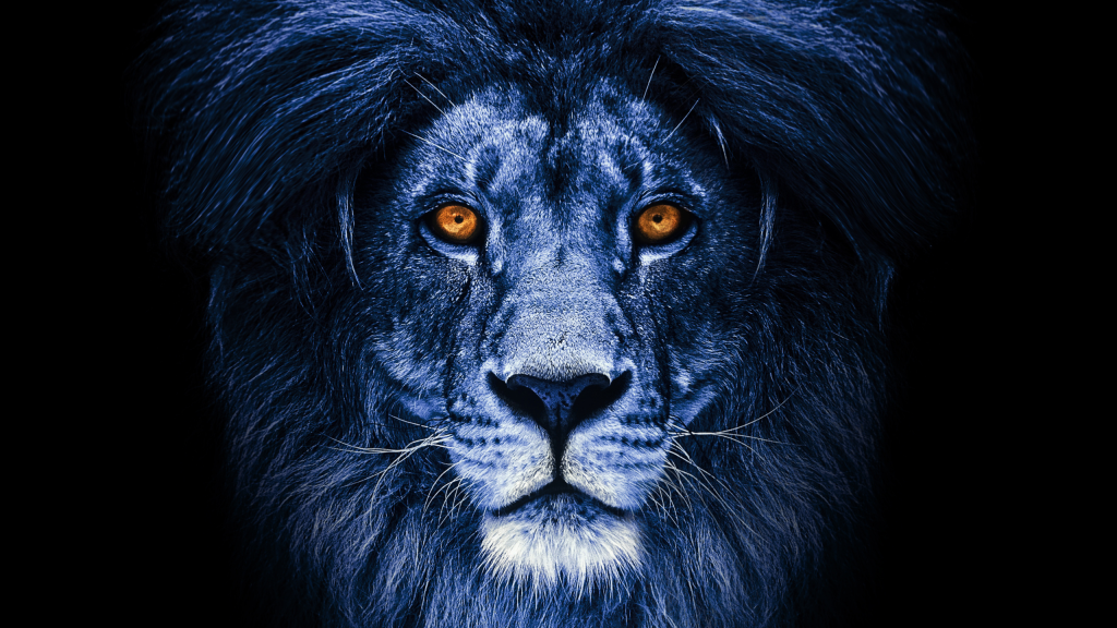 August 2025 Astrology News & Lions Gate Opening 2025 by Psychic Medium, Rose Burnett